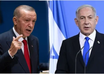 এরদোয়ানের অবস্থান পরিবর্তনে আতঙ্কিত ইসরায়েল