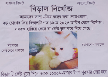 হারানো বিড়ালের জন্য পুরস্কার ঘোষণা