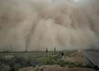 আকস্মিক ধুলিঝড়ে লন্ডভন্ড সৌদিসহ তিন দেশ