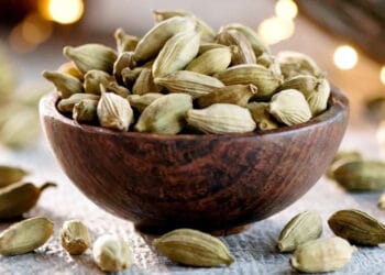 ক্যান্সারের সাথেও লড়তে সাহায্য করে ছোট এলাচ