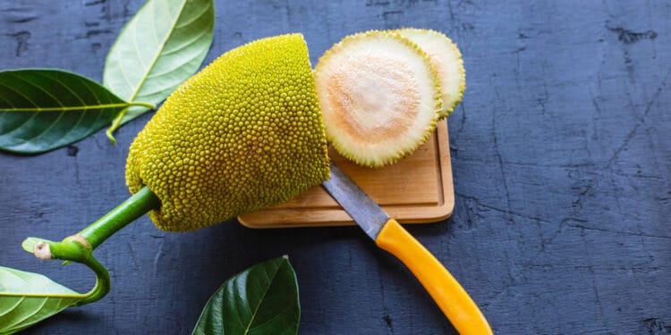 কাঁচা কাঁঠাল শরীরের জন্য এত উপকারী!