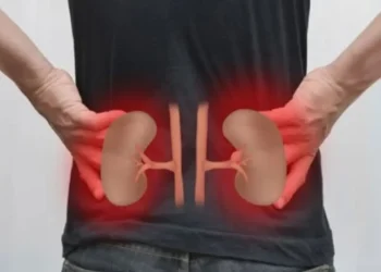 রাতে ৫ উপসর্গ দেখা দিলেই সতর্ক হোন, হতে পারে কিডনি রোগের ইঙ্গিত