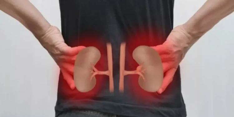 রাতে ৫ উপসর্গ দেখা দিলেই সতর্ক হোন, হতে পারে কিডনি রোগের ইঙ্গিত