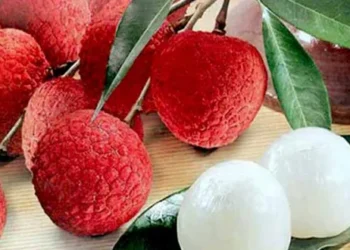 খালি পেটে লিচু শিশুদের মৃত্যুও ঘটাতে পারে