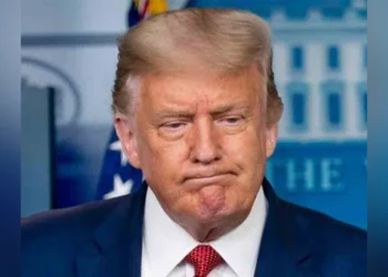 ‘আপনাদের বিশ্বাস করতে কষ্ট হবে, কিন্তু পাকিস্তানিরা আসলেই মেধাবী’