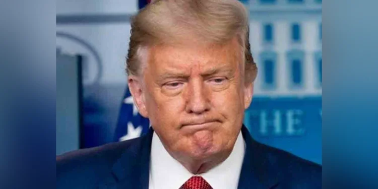 ‘আপনাদের বিশ্বাস করতে কষ্ট হবে, কিন্তু পাকিস্তানিরা আসলেই মেধাবী’