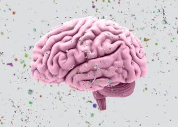 মানুষের মস্তিষ্কেও জমছে মাইক্রোপ্লাস্টিক