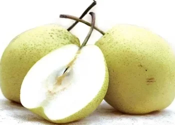 নাশপাতির উপকারিতা