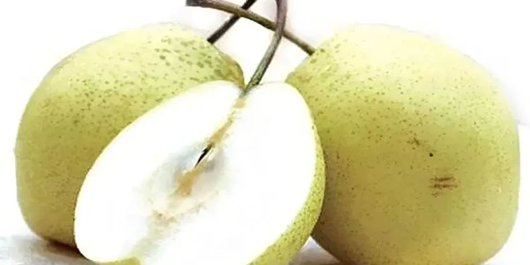 নাশপাতির উপকারিতা