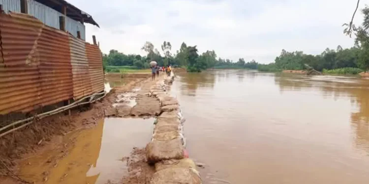 শেরপুরে কমেছে সব নদীর পানি, তবুও কাটেনি আতঙ্ক