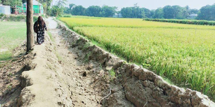 রাস্তার কারণে বিয়ে হয় না যে এলাকার মেয়েদের