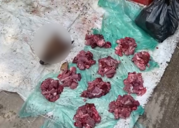 প্রকাশ্যে বিক্রি হচ্ছে শিয়ালের মাংস, কেজি ২ হাজার টাকা