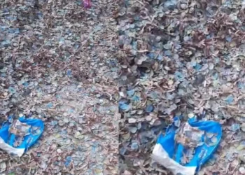 বরিশালের রাস্তায় উড়ছে টাকা আর টাকা