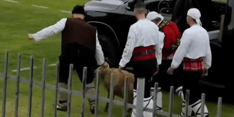 দলকে প্রমোশন এনে দিয়ে ভেড়া পুরস্কার পেলেন কোচ