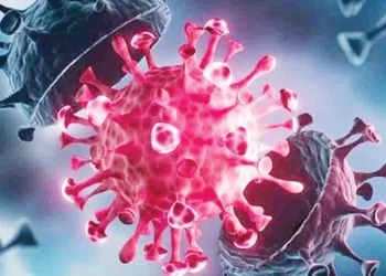 আতঙ্ক নয়, সচেতনতা জরুরি