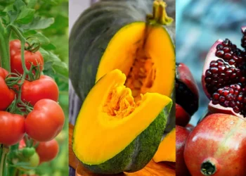 পুরুষের বন্ধ্যত্বের কারণ কী, যেসব খাবার শুক্রাণু বাড়ায়