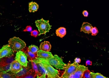 ক্যানসার থেকে বাঁচুন ব্যায়াম করে