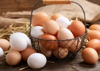 লাল ডিম না সাদা ডিম, কোনটির পুষ্টিগুণ বেশি