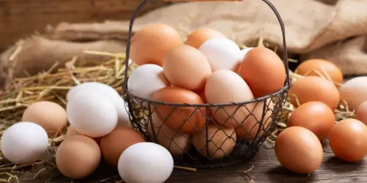 লাল ডিম না সাদা ডিম, কোনটির পুষ্টিগুণ বেশি