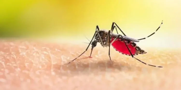 বরিশালে বাড়ছে ডেঙ্গু, ২৪ ঘণ্টায় ৩ জনের মৃত্যু