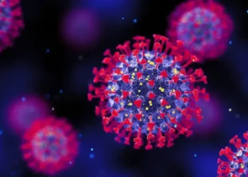 করোনার নতুন ভ্যারিয়েন্ট অমিক্রন এক্সবিবি কতটা ভয়ানক?