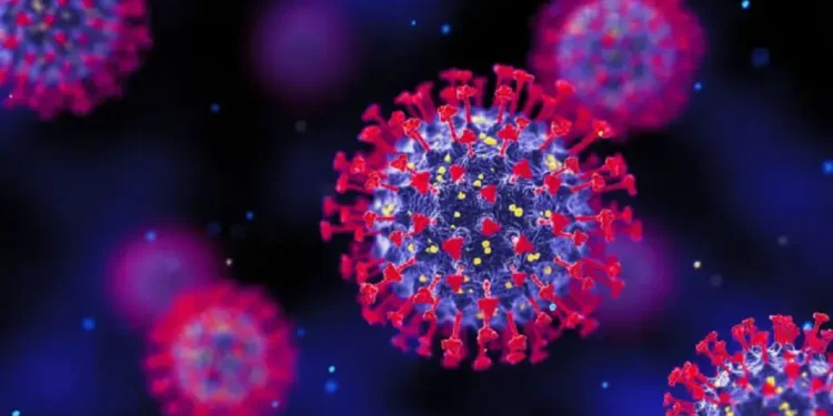 করোনার নতুন ভ্যারিয়েন্ট অমিক্রন এক্সবিবি কতটা ভয়ানক?