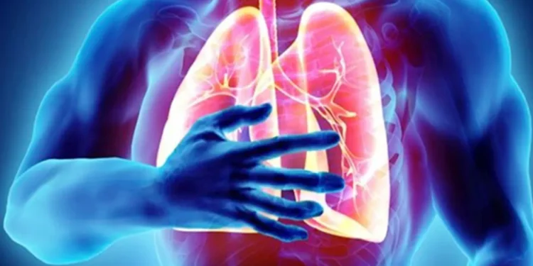 ধূমপায়ীরা যে টোটকায় ফুসফুস পরিষ্কার করতে পারেন