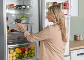 খাবার টাটকা রাখতে ফ্রিজের তাপমাত্রা কত রাখবেন