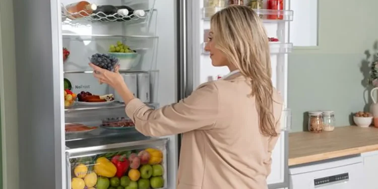 খাবার টাটকা রাখতে ফ্রিজের তাপমাত্রা কত রাখবেন