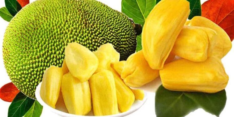 ঝুম বৃষ্টিতে চাই পাকা কাঁঠাল!