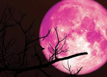 বিরল ‘স্ট্রবেরি মুন’ দেখা যাবে কাল আকাশে