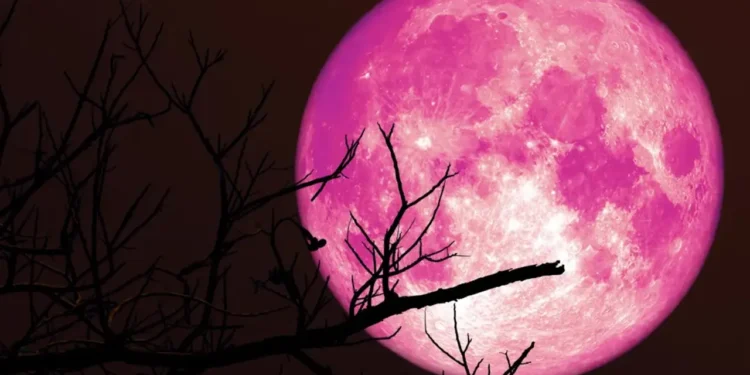বিরল ‘স্ট্রবেরি মুন’ দেখা যাবে কাল আকাশে