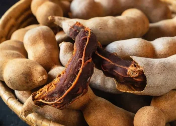 তেঁতুল খেলে কি শরীরের রক্ত পানি হয়ে যায়? যা বলছেন পুষ্টিবিদ