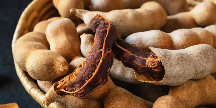 তেঁতুল খেলে কি শরীরের রক্ত পানি হয়ে যায়? যা বলছেন পুষ্টিবিদ