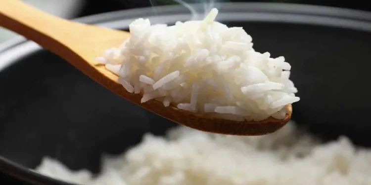 রাতে ভাত খাওয়া কি আসলেই ক্ষতিকর, কী বলছেন পুষ্টিবিদ