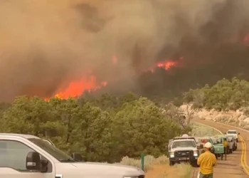 যুক্তরাষ্ট্রে আবারও ভয়াবহ দাবানল