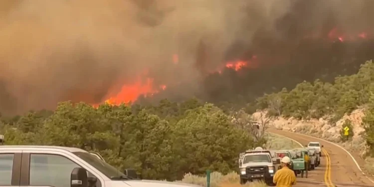 যুক্তরাষ্ট্রে আবারও ভয়াবহ দাবানল