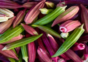 স্থূলতার প্রভাব থেকে রক্ষা করতে পারে যে সবজি