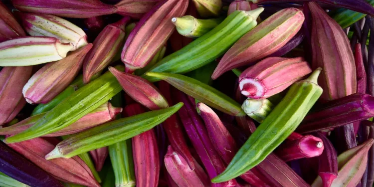 স্থূলতার প্রভাব থেকে রক্ষা করতে পারে যে সবজি