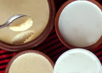 দই খাওয়া নিয়ে যে ‍সচেতনতা চিকিৎসকদের