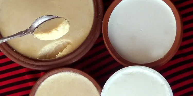 দই খাওয়া নিয়ে যে ‍সচেতনতা চিকিৎসকদের