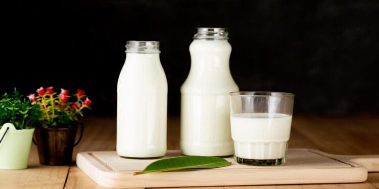 ঠান্ডা নাকি গরম দুধ, কোনটি বেশি উপকার?