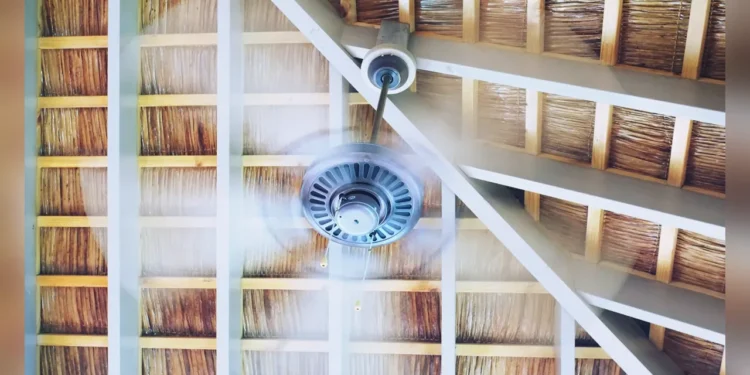 ফ্যানের গতি কমালে কি সত্যিই বিদ্যুৎ বিল কমে?