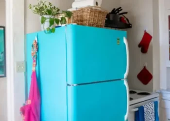 ফ্রিজের ওপরে এই ৯ জিনিস একদমই রাখা উচিত নয়