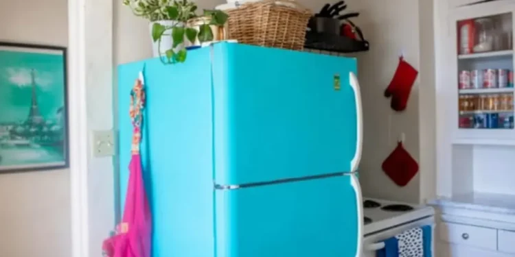 ফ্রিজের ওপরে এই ৯ জিনিস একদমই রাখা উচিত নয়