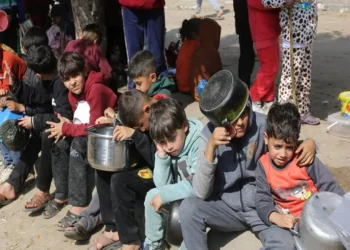 গাজাকে ‘শিশুদের কবরস্থান’ বানাচ্ছে ইসরায়েল: জাতিসংঘ