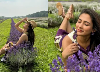 ল্যাভেন্ডারের ফুল বাগানে থেকে যেতে চান মেহজাবীন