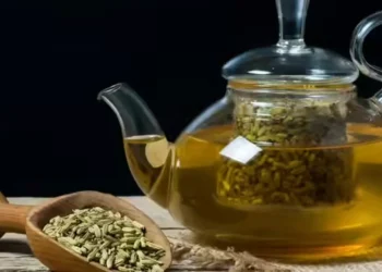 সকালে মৌরি ভেজানো পানি খেলে শরীরে যেসব পরিবর্তন ঘটে