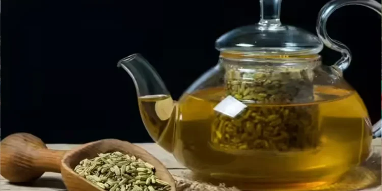 সকালে মৌরি ভেজানো পানি খেলে শরীরে যেসব পরিবর্তন ঘটে