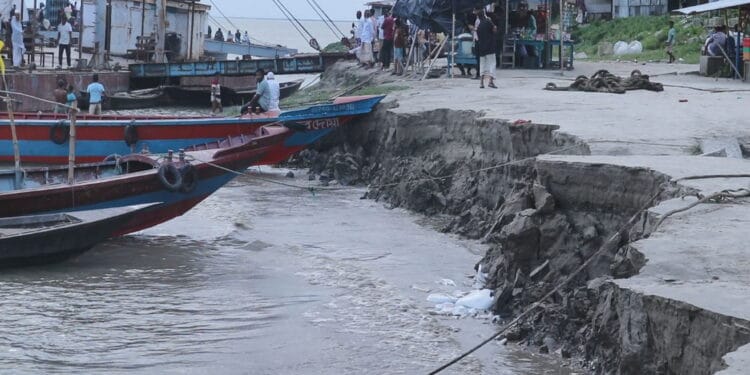 পদ্মার ভাঙনে হুমকির মুখে পাবনার নাজিরগঞ্জ ফেরিঘাট! আতঙ্কে নদীপাড়ের মানুষ